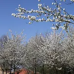 Agriturismo La Morla Pollenzo