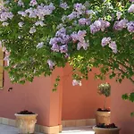 Feriegård Agriturismo La Morla