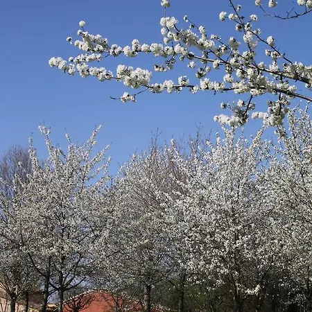 Agriturismo La Morla Pollenzo