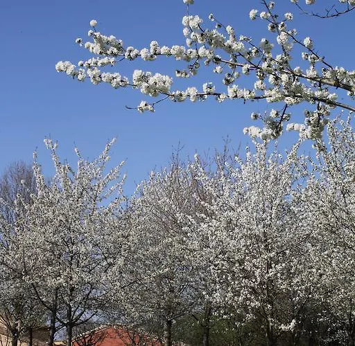 Agriturismo La Morla Pollenzo