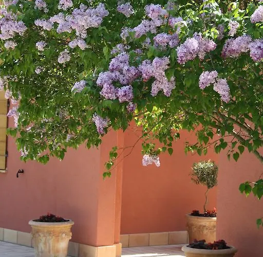 Agroturismo Agriturismo La Morla